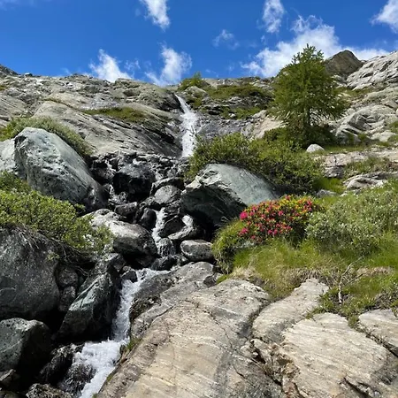 シャレー Casa Sharm *